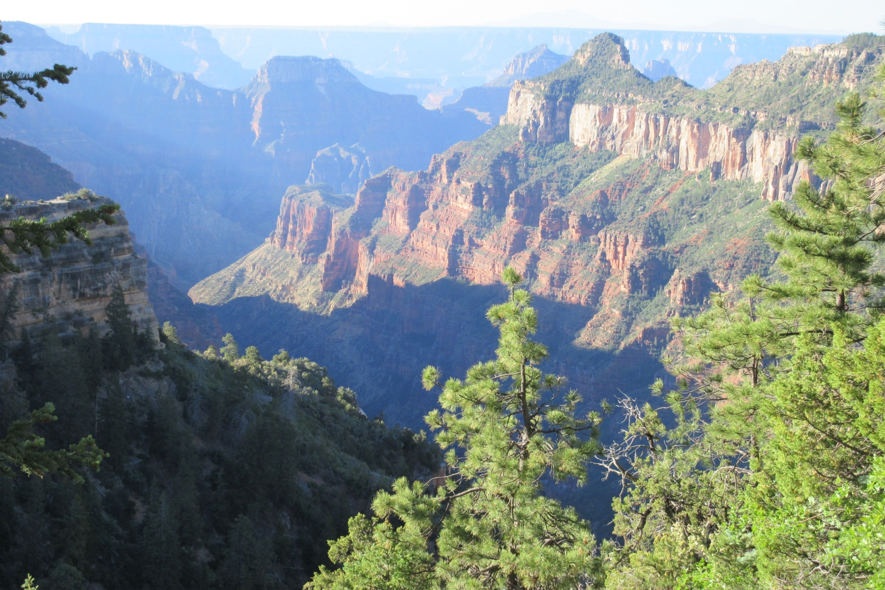 Widforss Trail Best Hikes Grand Canyon