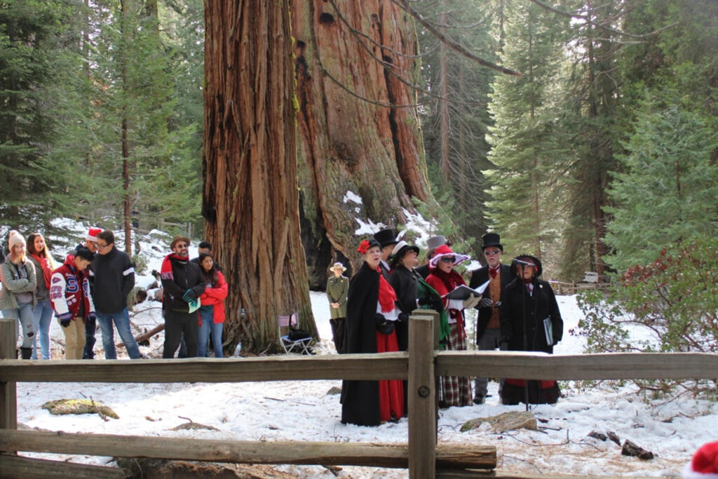 Things to Do in Kings Canyon General Grant