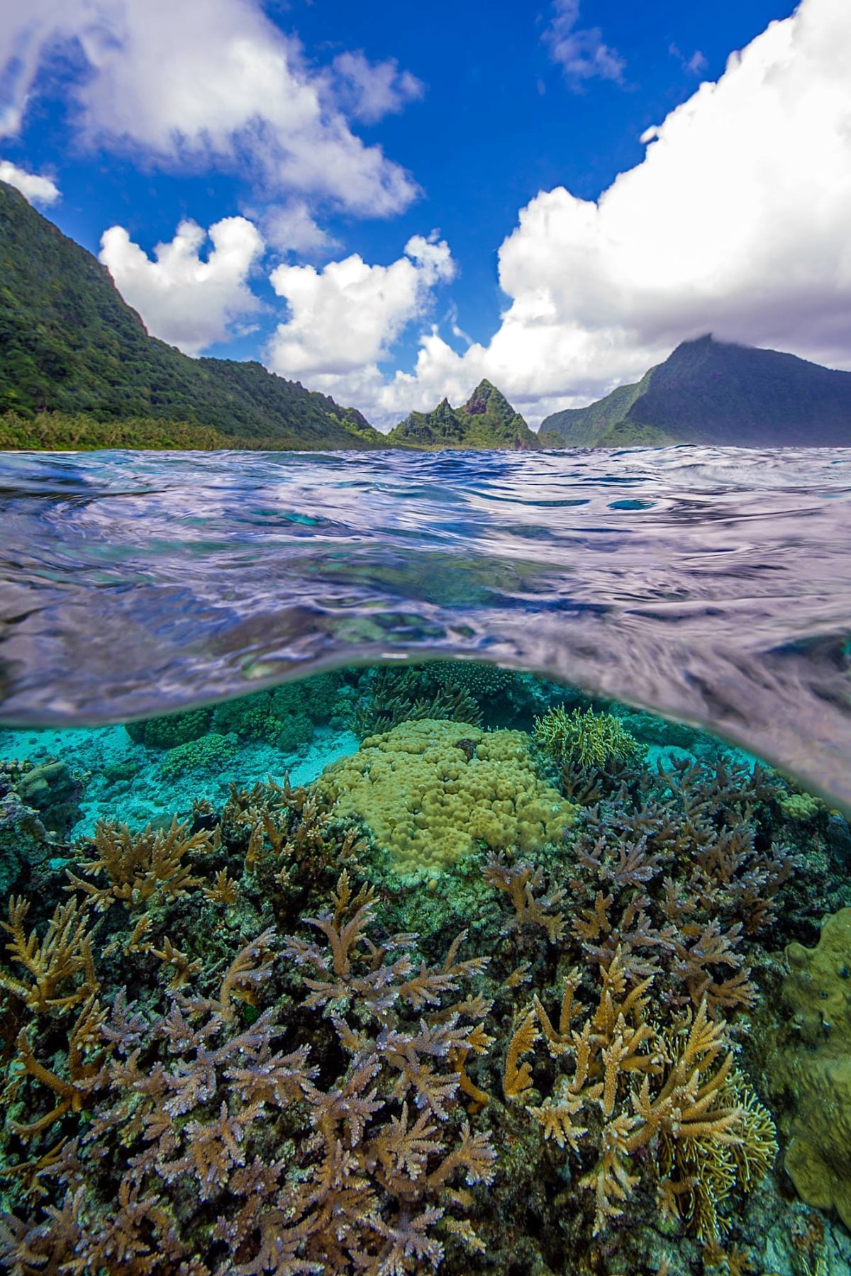 A view of National Park of American Samoa above and below water.