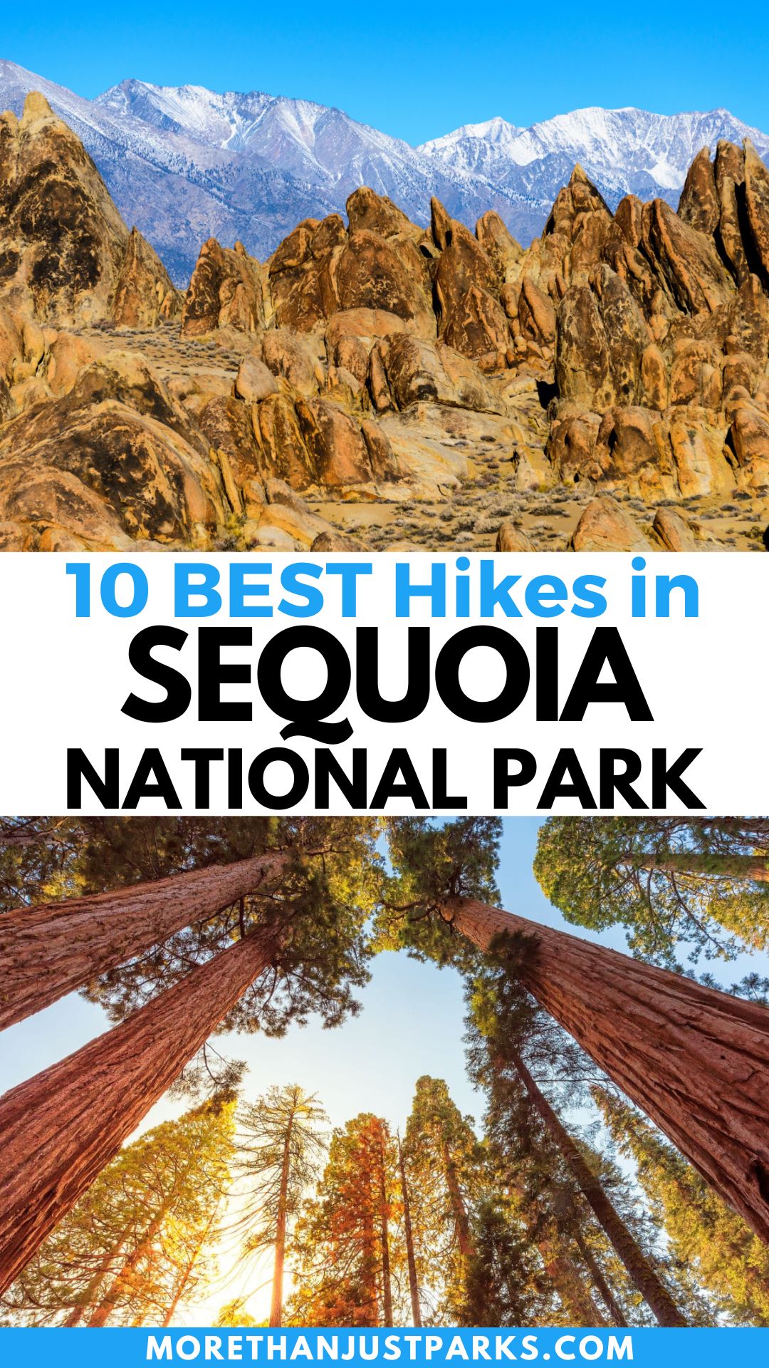 Graphic reads "10 Best Hikes in Sequoia National Park."