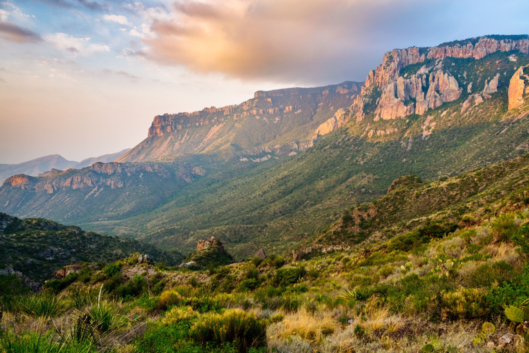 Stunning mountains arise from a green valley in the best hikes of Big Bend National Park.