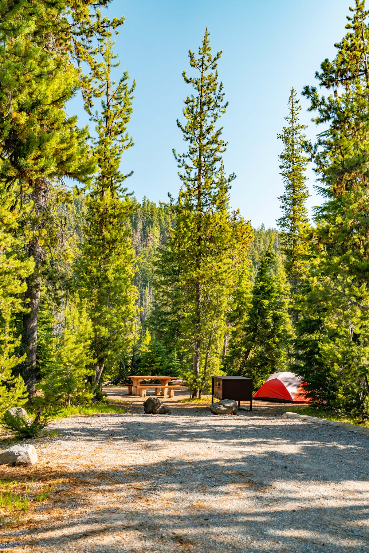 mazama campground at crater lake national park