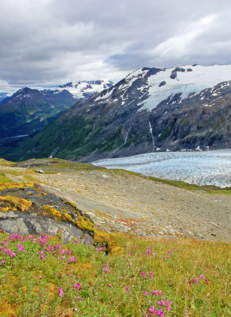 Hike the EPIC Harding Icefield Trail in Kenai Fjords (Honest Guide)