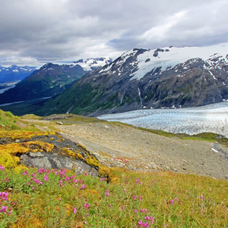 Hike the Harding Icefield Trail in Kenai Fjords