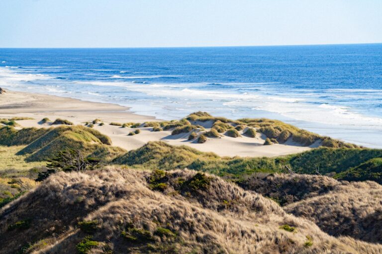 west coast road trip, oregon dunes