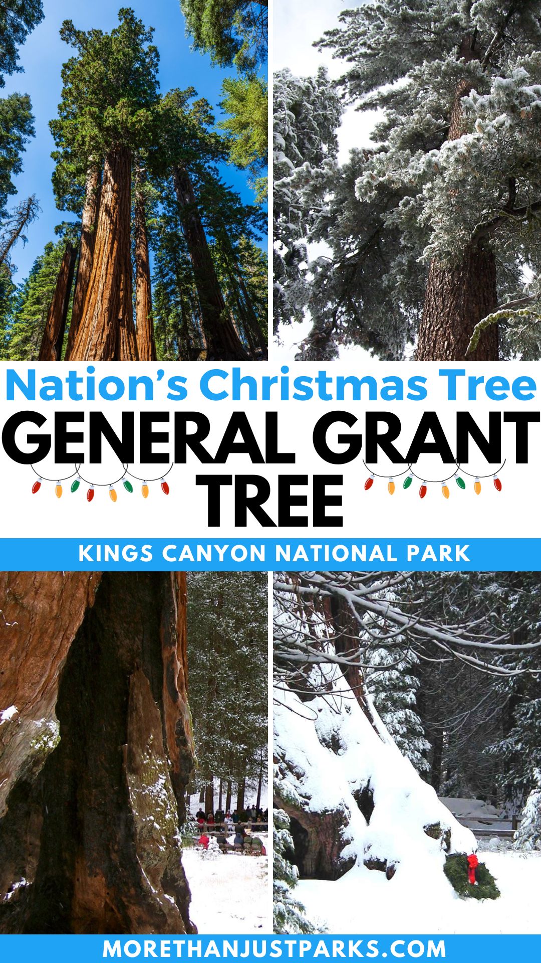Graphic reads "The Nation's Christmas Tree General Grant Tree Kings Canyon National Park."