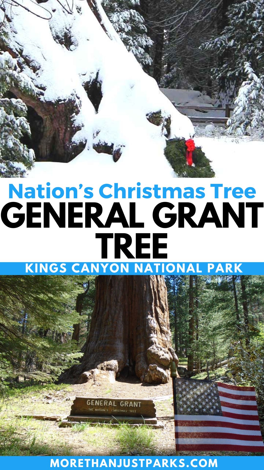 Graphic reads "The Nation's Christmas Tree General Grant Tree Kings Canyon National Park."