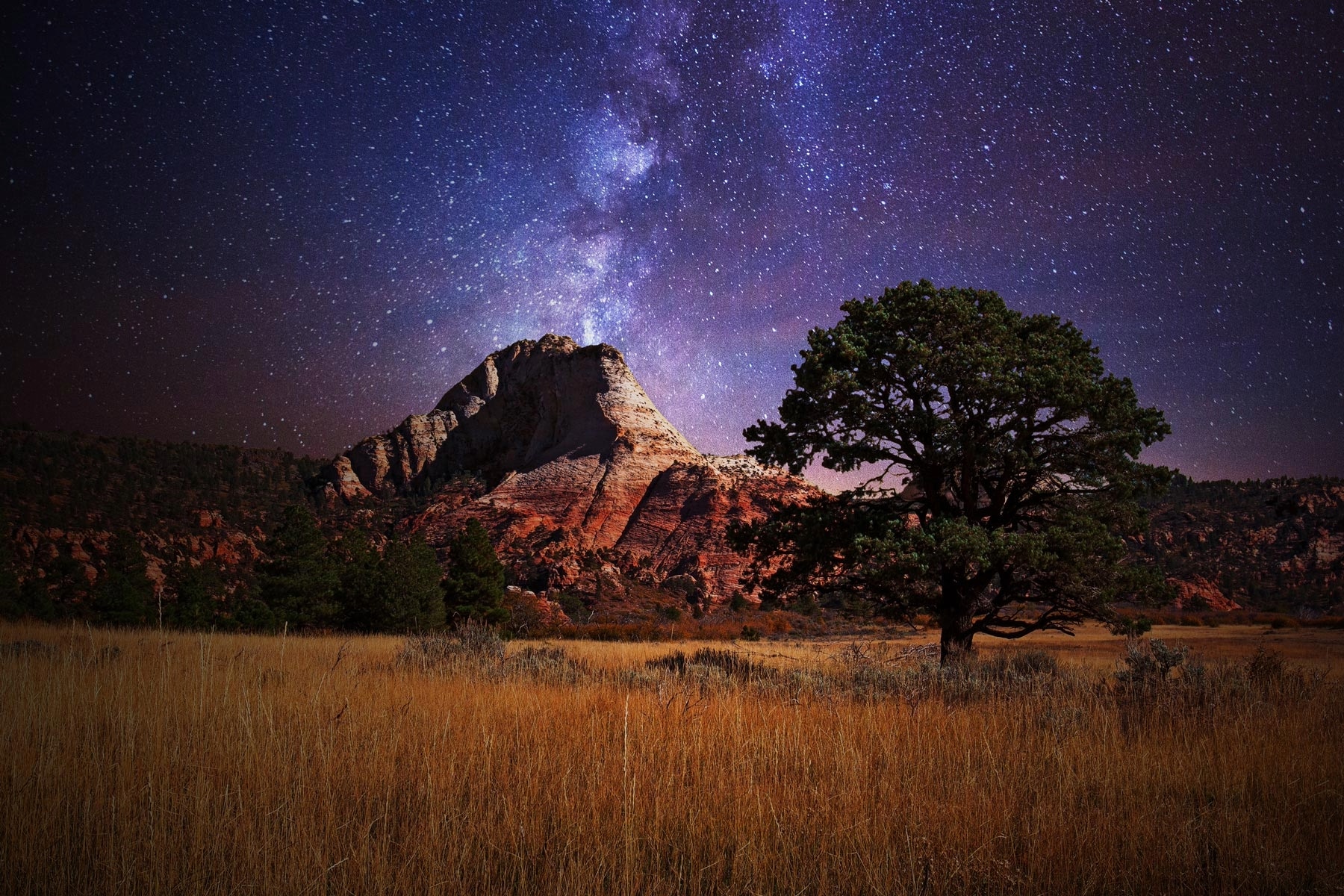 A mountain and a tree below a galaxy of stars in Zion National Park.