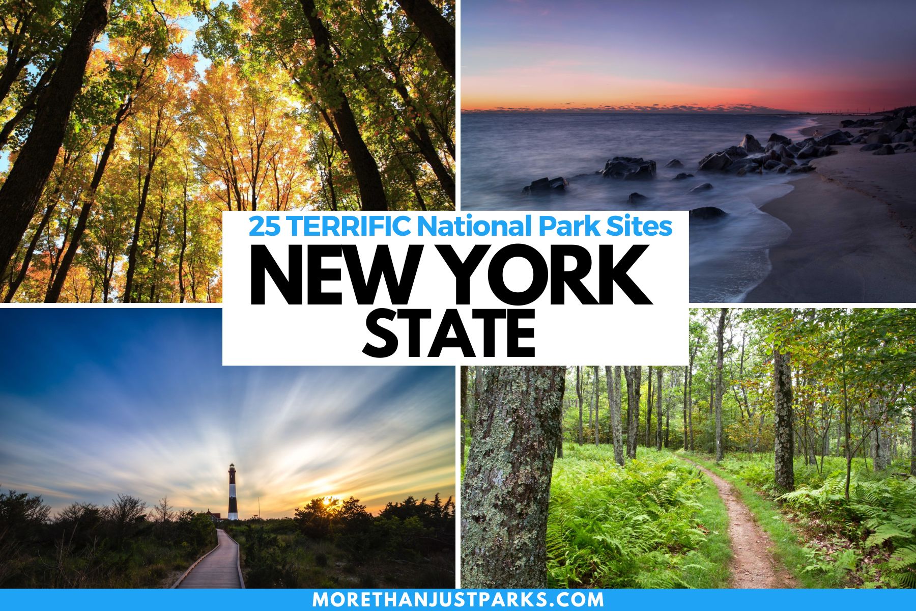New York State NPS
