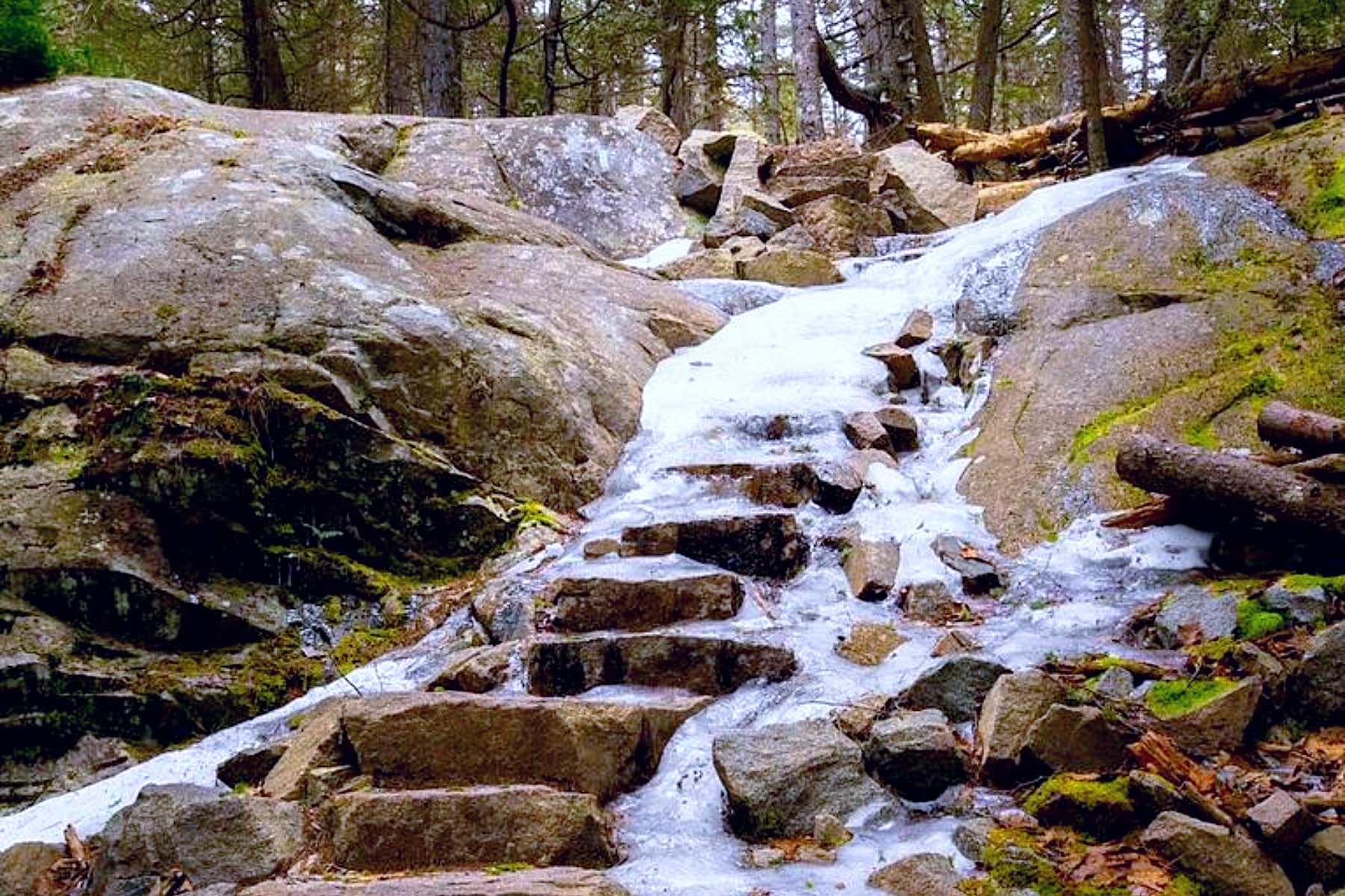 Snow and ice gathered on steps to a trail in Acadia National Park. 