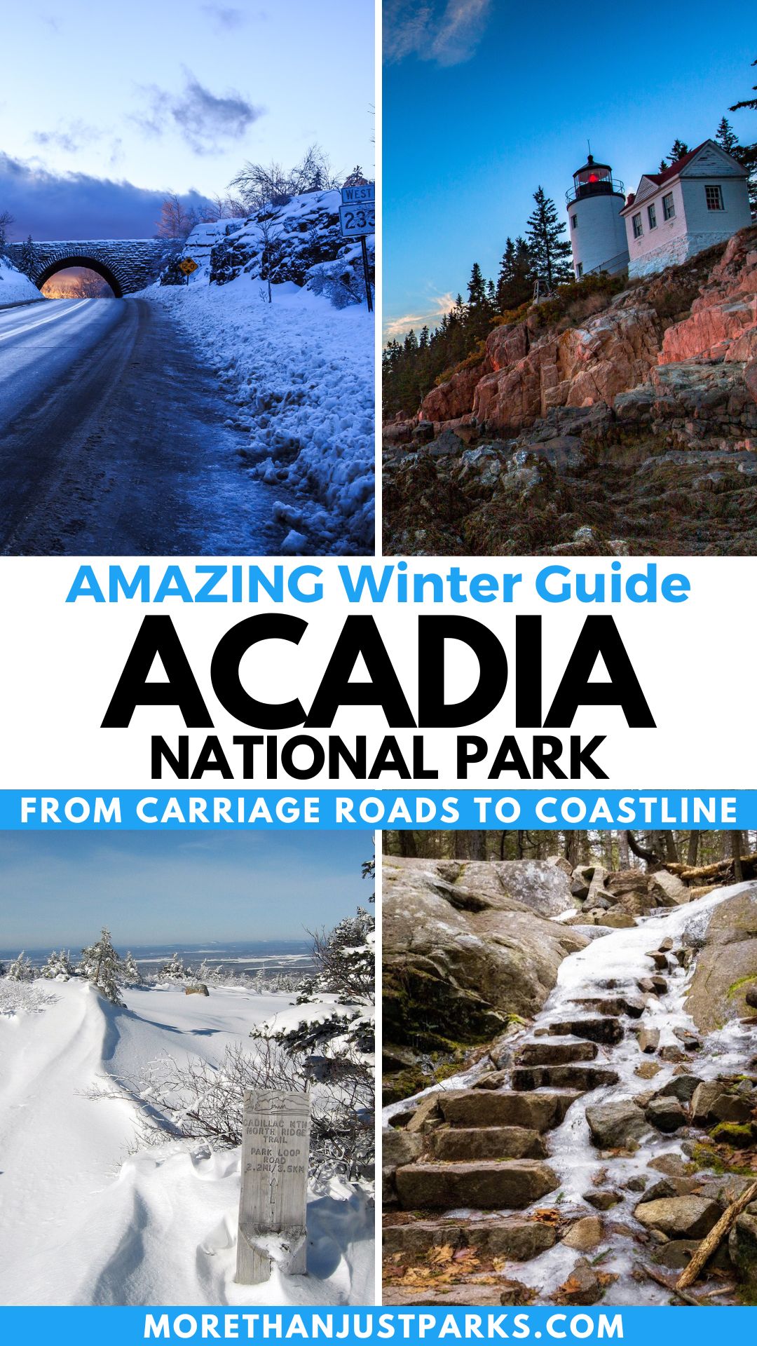 Acadia in Winter graphic