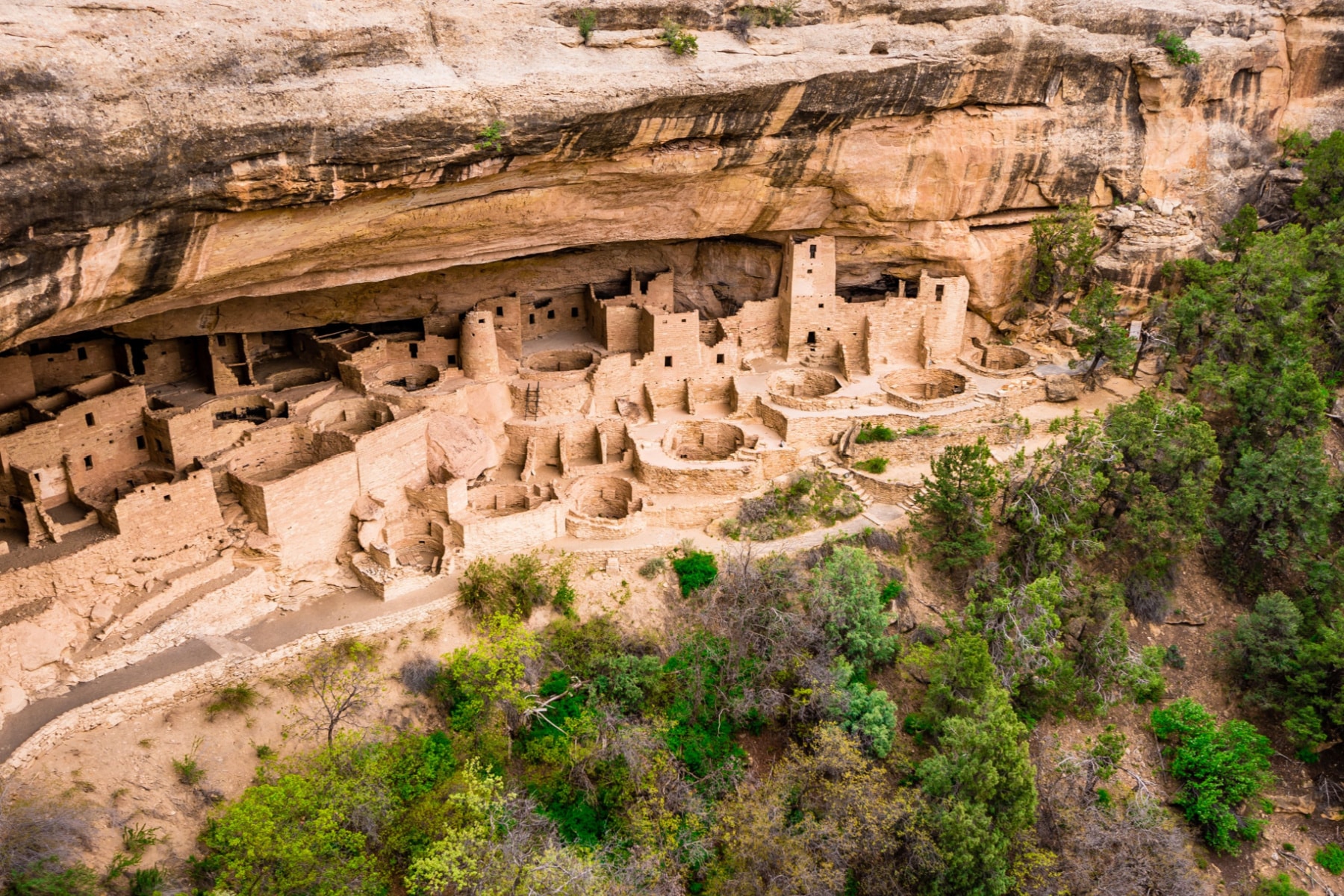 Cliff Palace in Mesa Verde National Park is by far one of the best things to do. 