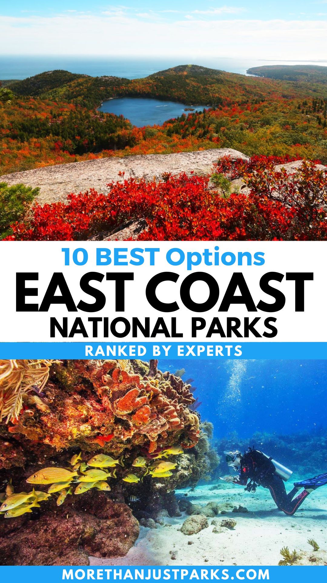 East Coast National Park Graphic