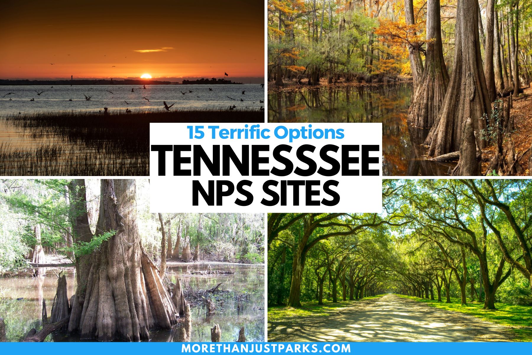 Tennessee NPS Sites