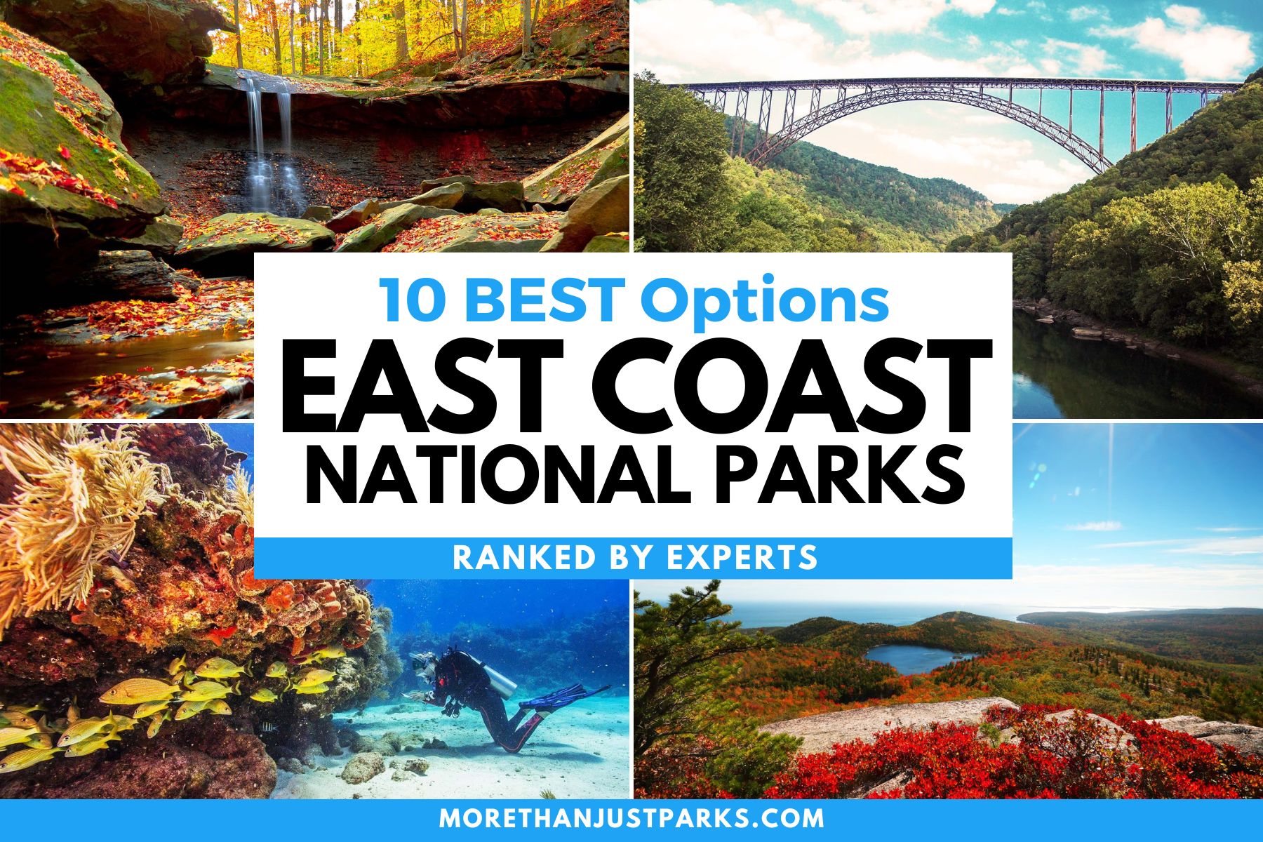 East Coast National Park Graphic