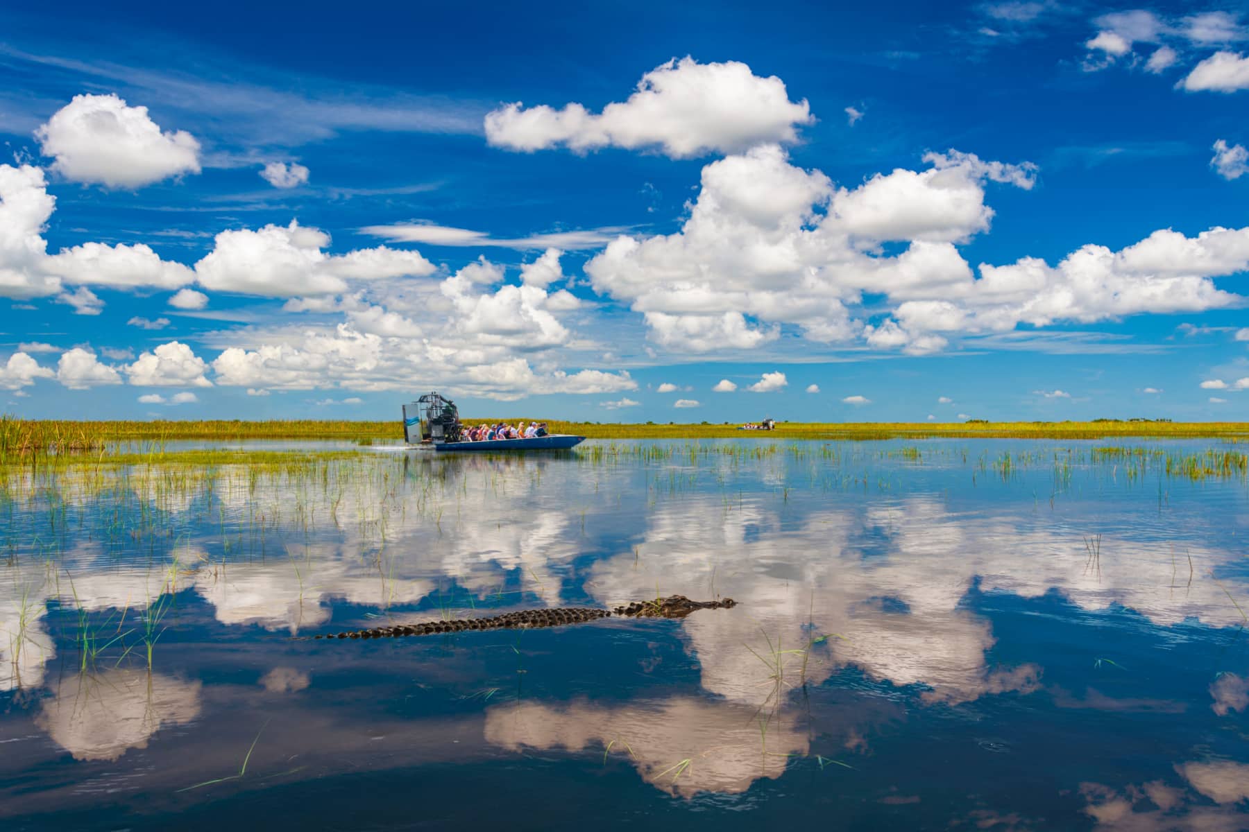 An alligator creeps in the water with an airboat in the distance in Everglades National Park, one of the best national parks in February.