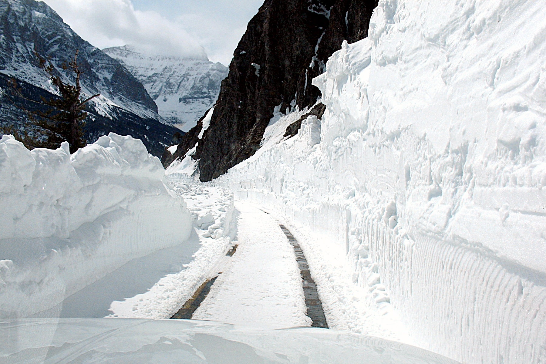 A towering wall of snow on both sides of Going to the Sun Road in Glacier National Park