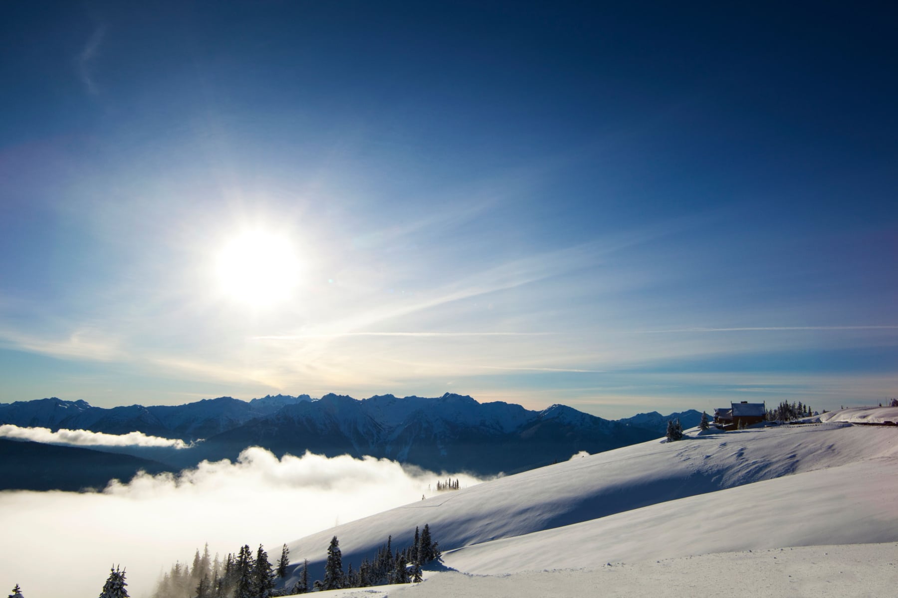 Olympic National Park is one of the best national parks in February because of places like Hurricane Ridge.