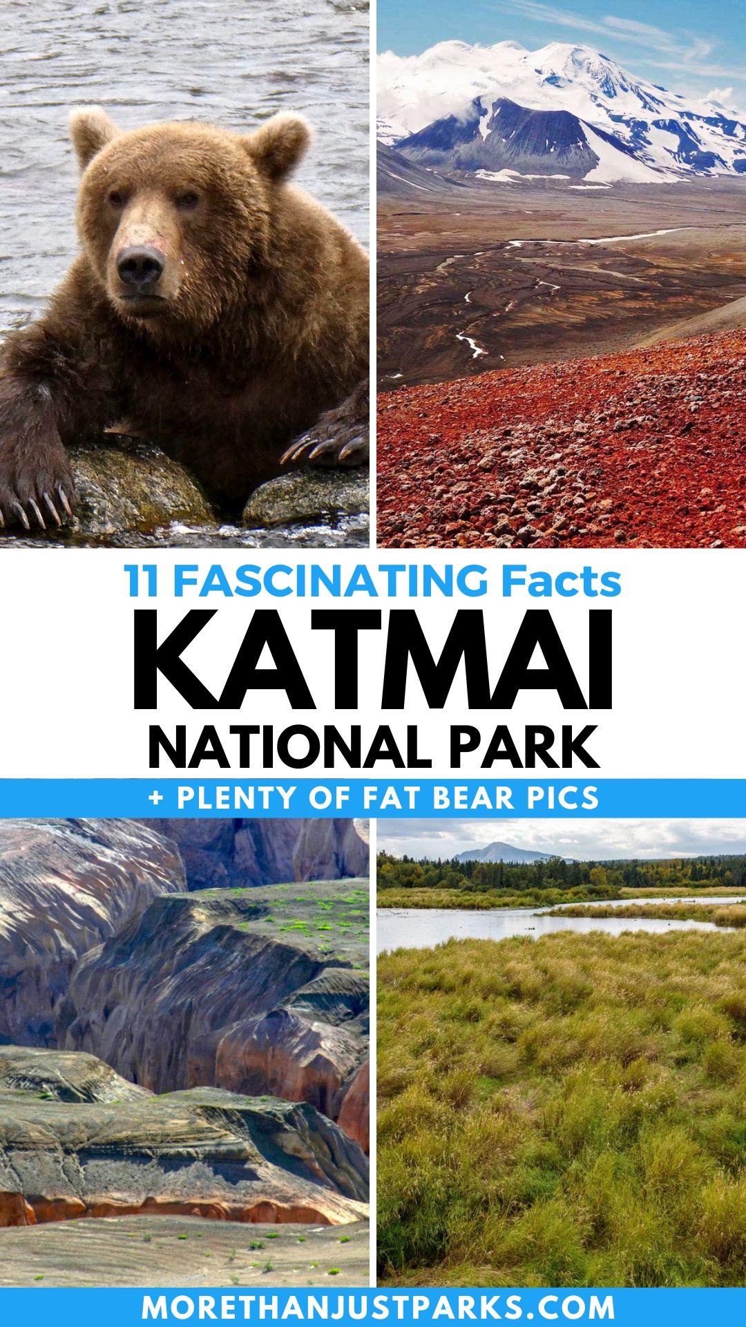 Katmai National Park Facts Graphic
