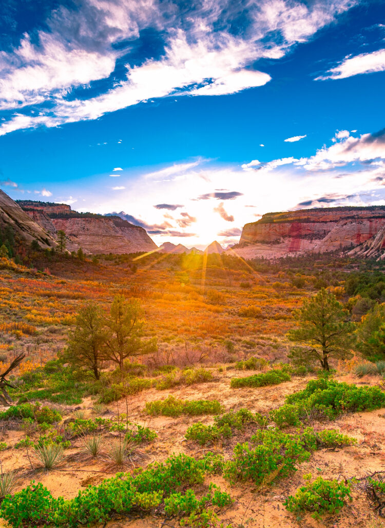 Zion National Park Changes, Some FEE INCREASES in 2024