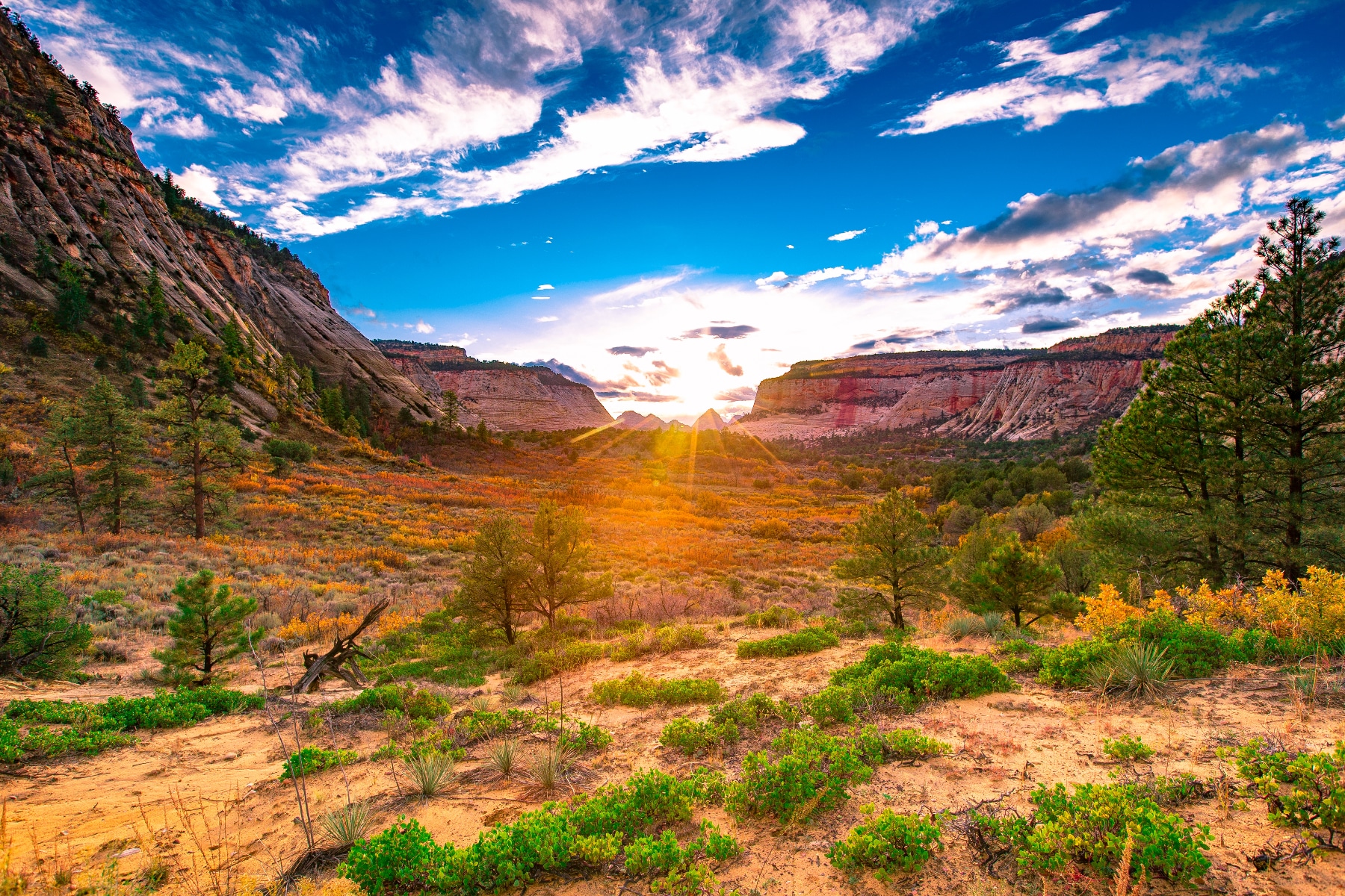 Sunlight rises over the Zion National Park wilderness, one of the places impacted by the Zion fee increase.