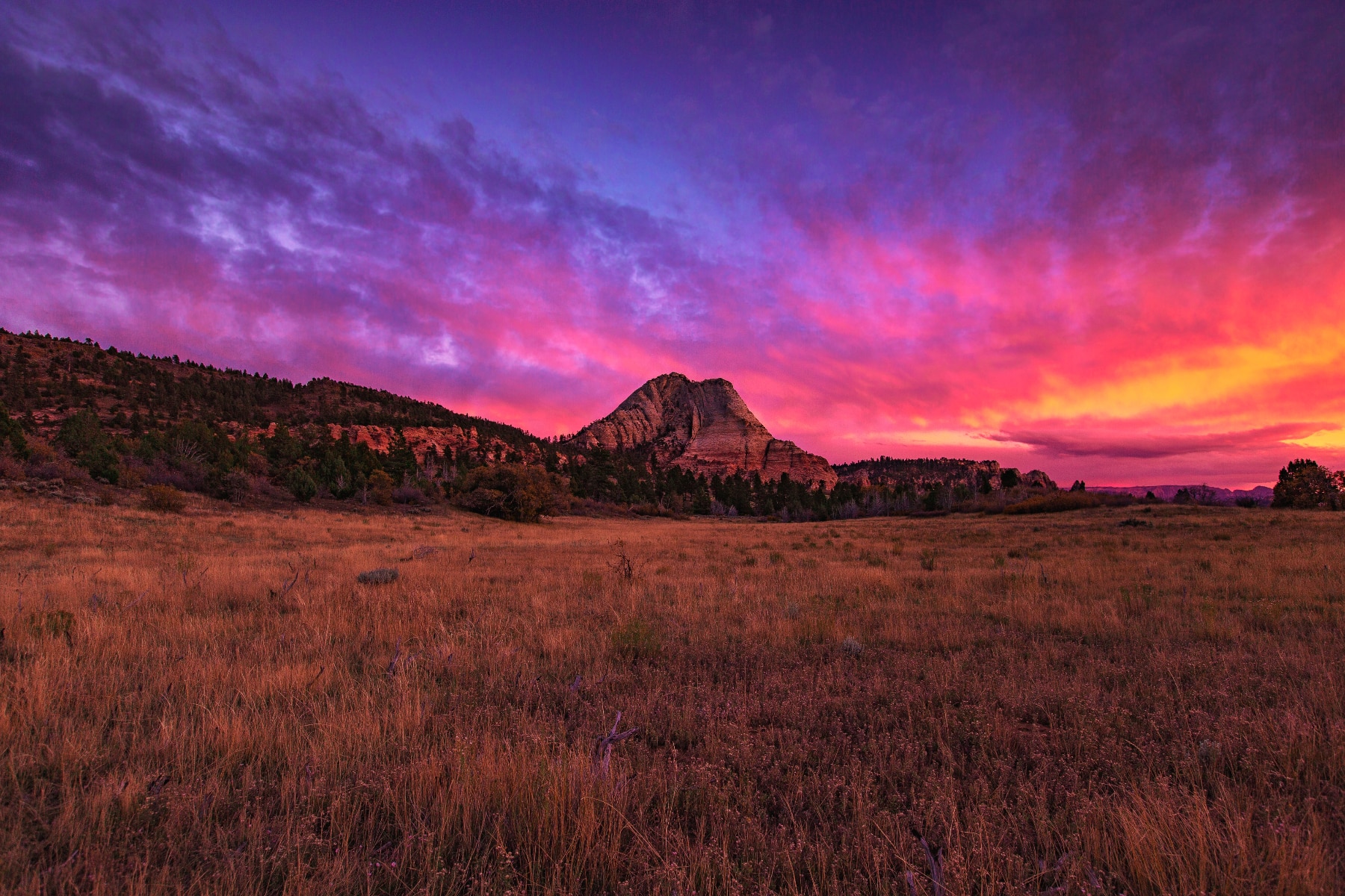 Zion National Park sunset.