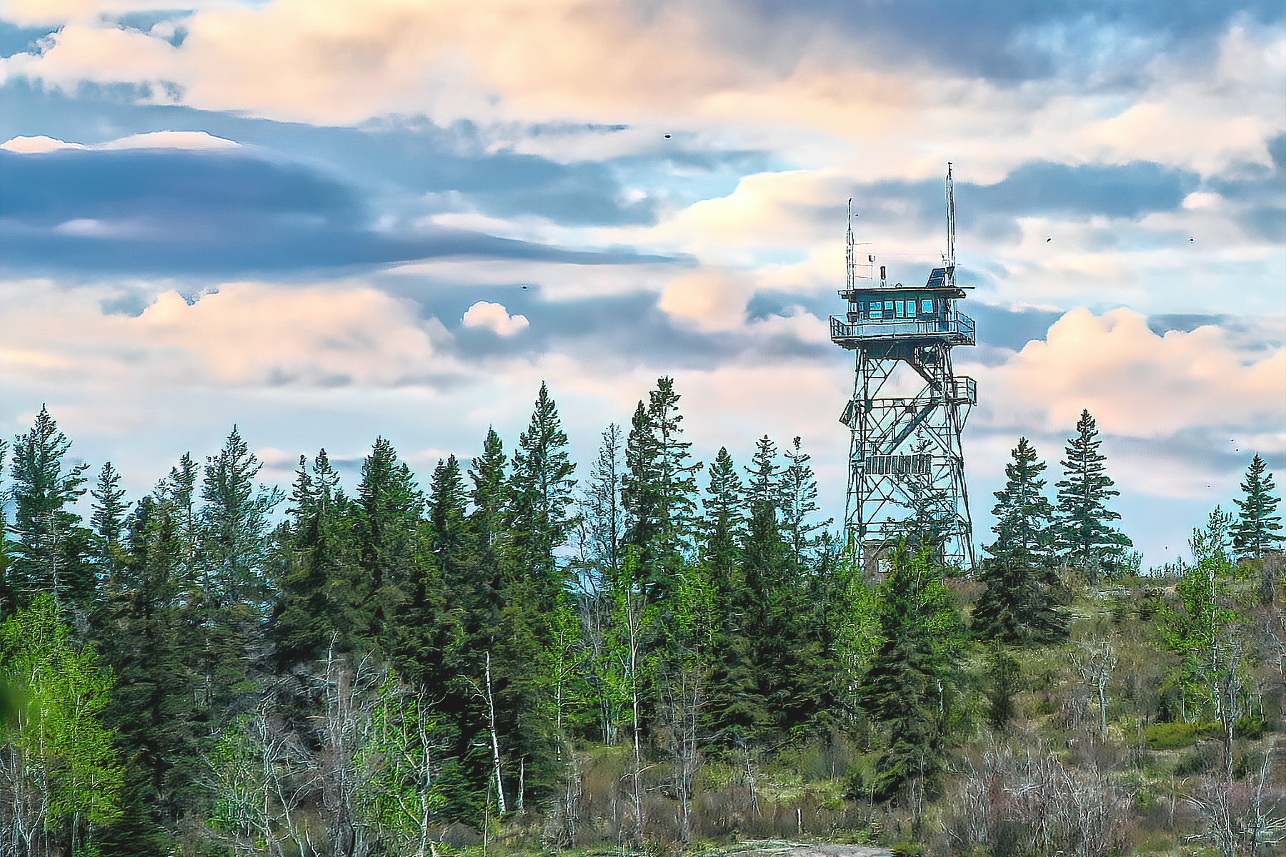 obijway fire tower in Isle Royale National Park with trees below and puffy clouds above. 