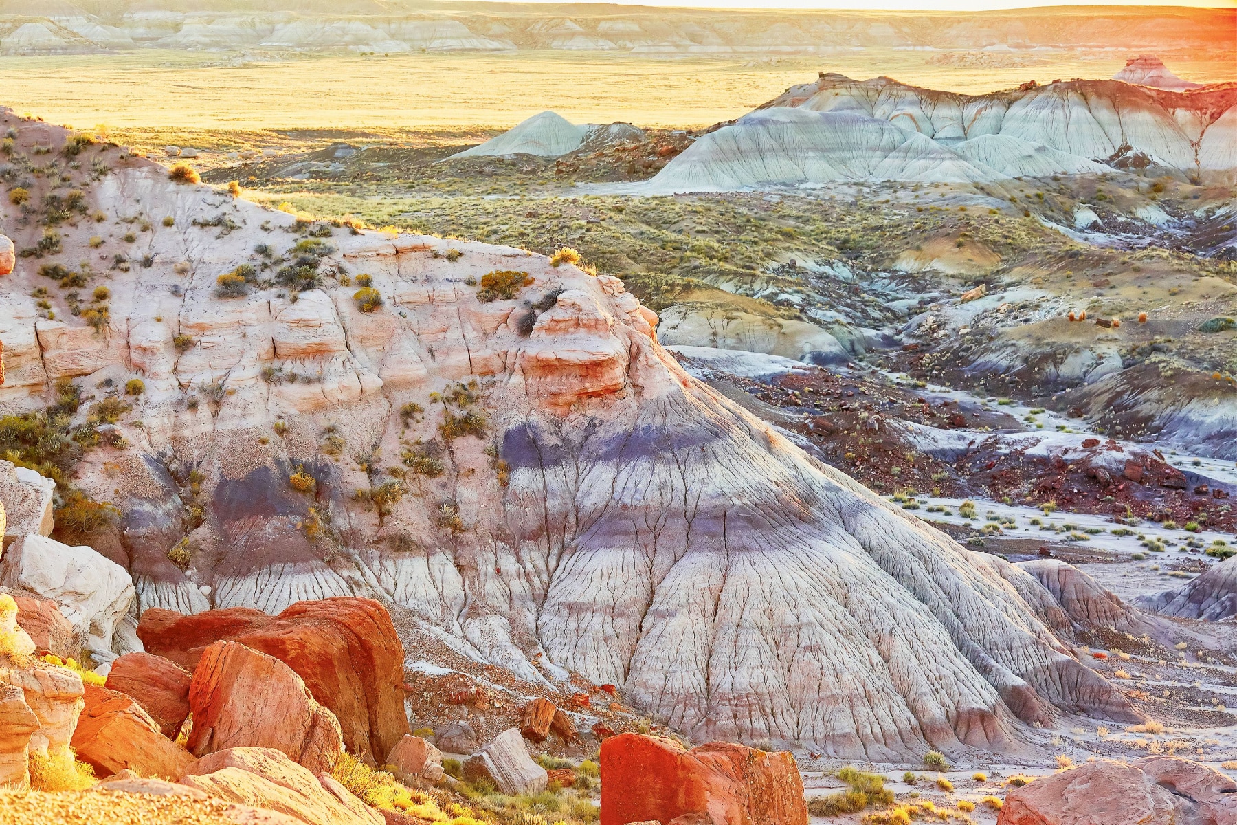 Painted Desert landscape includes infusions of colors such as purple, white, yellow, and orange.