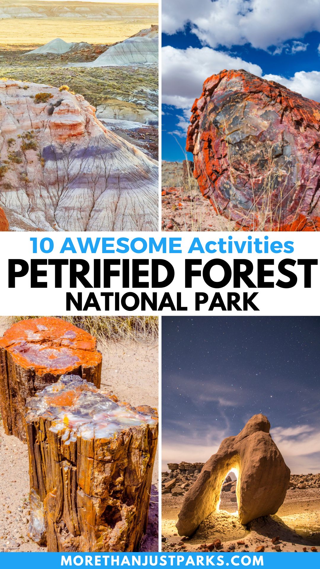 Petrified Forest National Park Things to Do Graphic