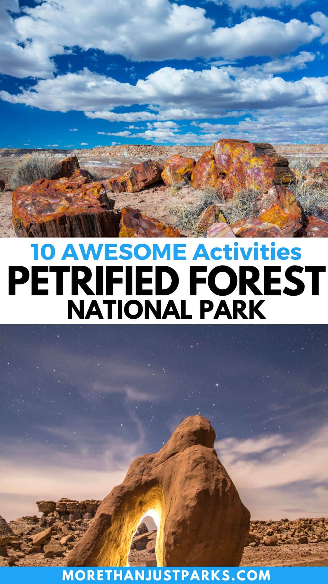 Petrified Forest National Park Things to Do Graphic