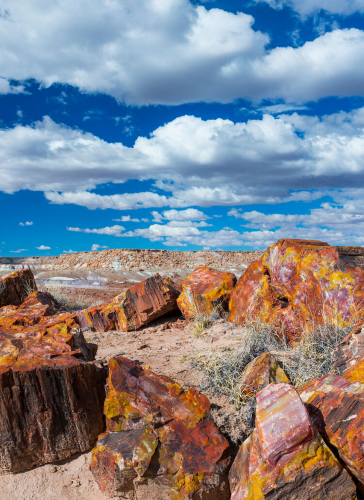 10 AWESOME Activities in Petrified Forest NP & the Painted Desert