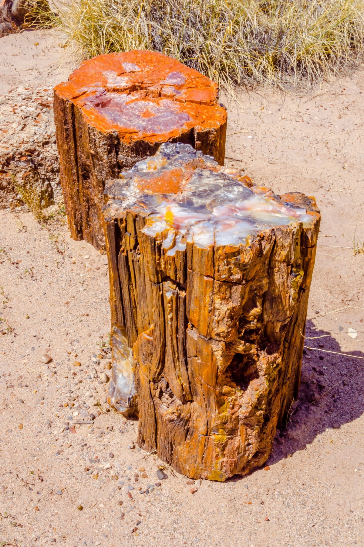 Two sections of petrified wood found among the man things to do in Petrified Forest National Park. 