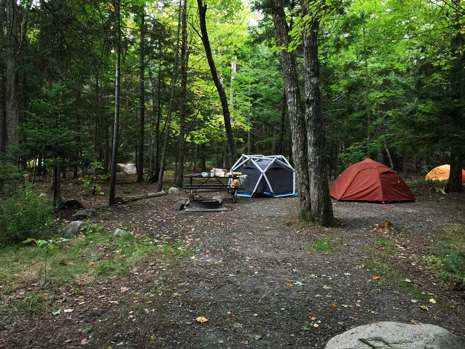 blackwoods campground at acadia national park