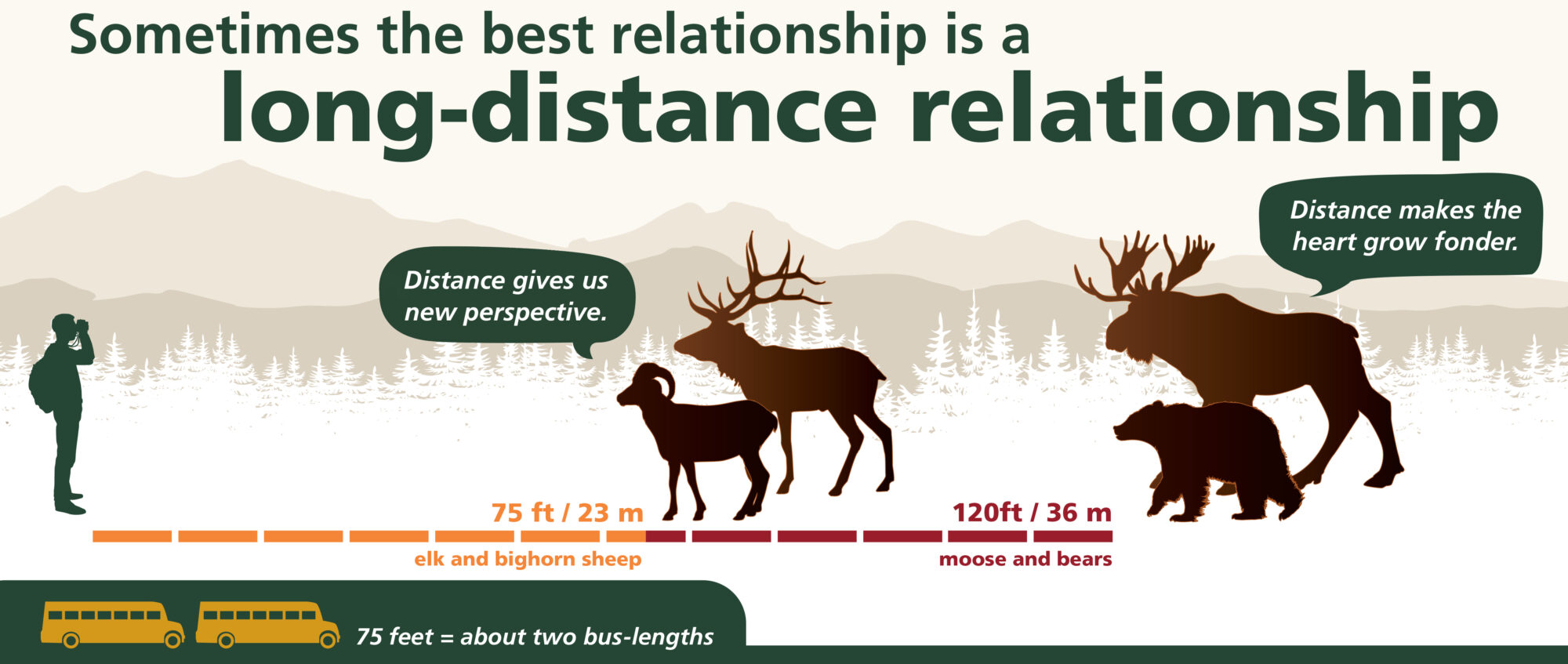 A graphic shows the distance to keep from certain wildlife as part of the 7 principles of leave no trace. Elk are 75 feet and moose/bears are 120 feet.