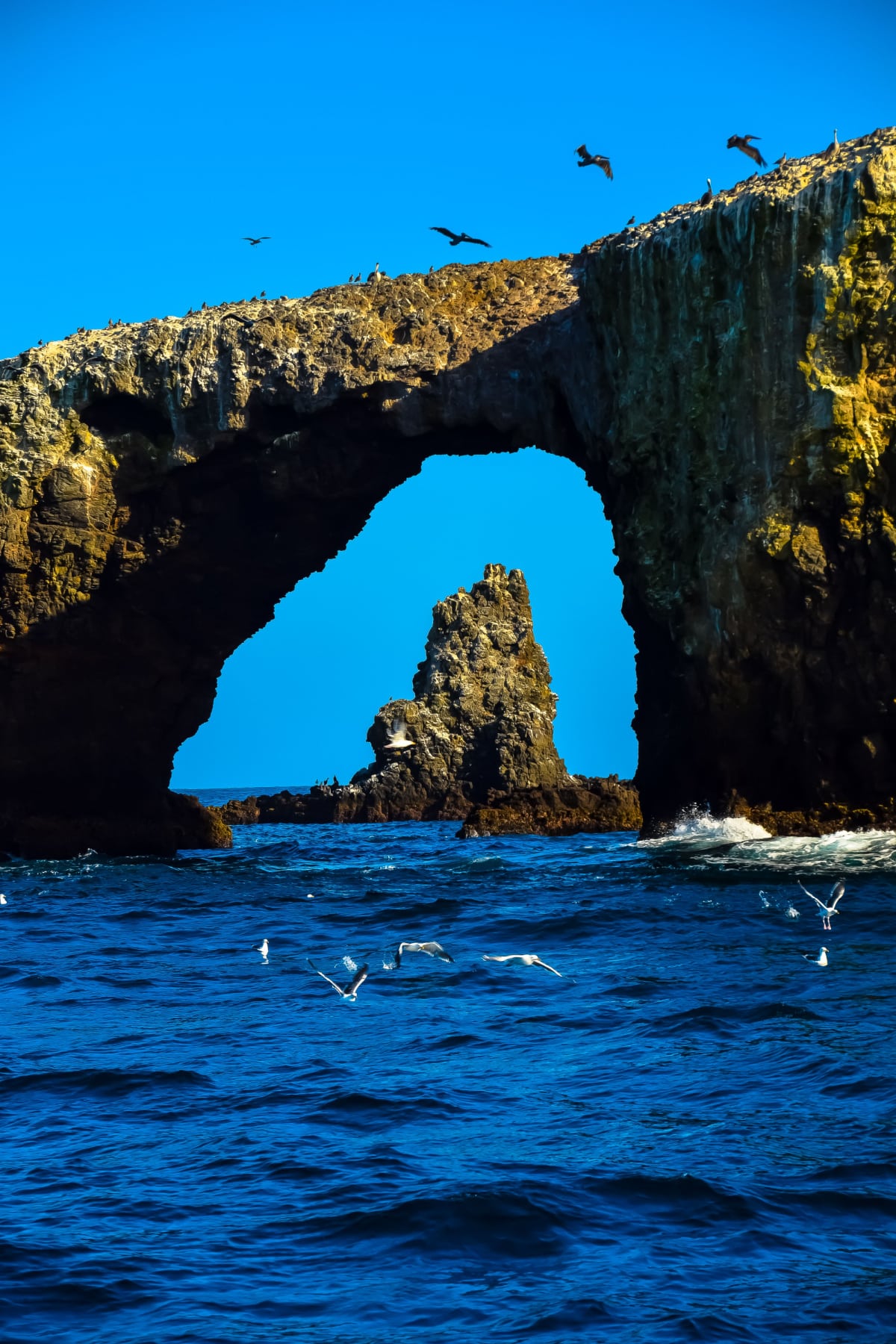 Arch Rock Cove off Anacapa Island is one of the best things to do in Channel Island National Park on a kayak. 