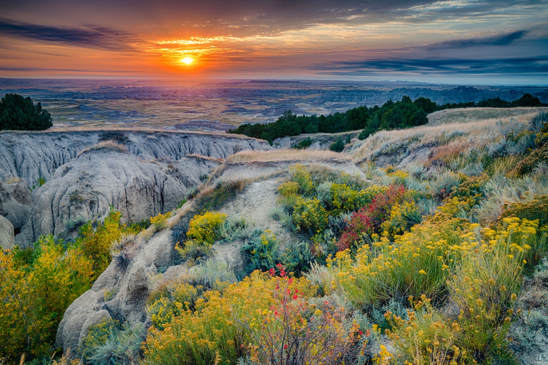 Wildflowers cover the landscape in Badlands National Park with the sunrise in the distance. It's one of the best national parks to visit in April. 