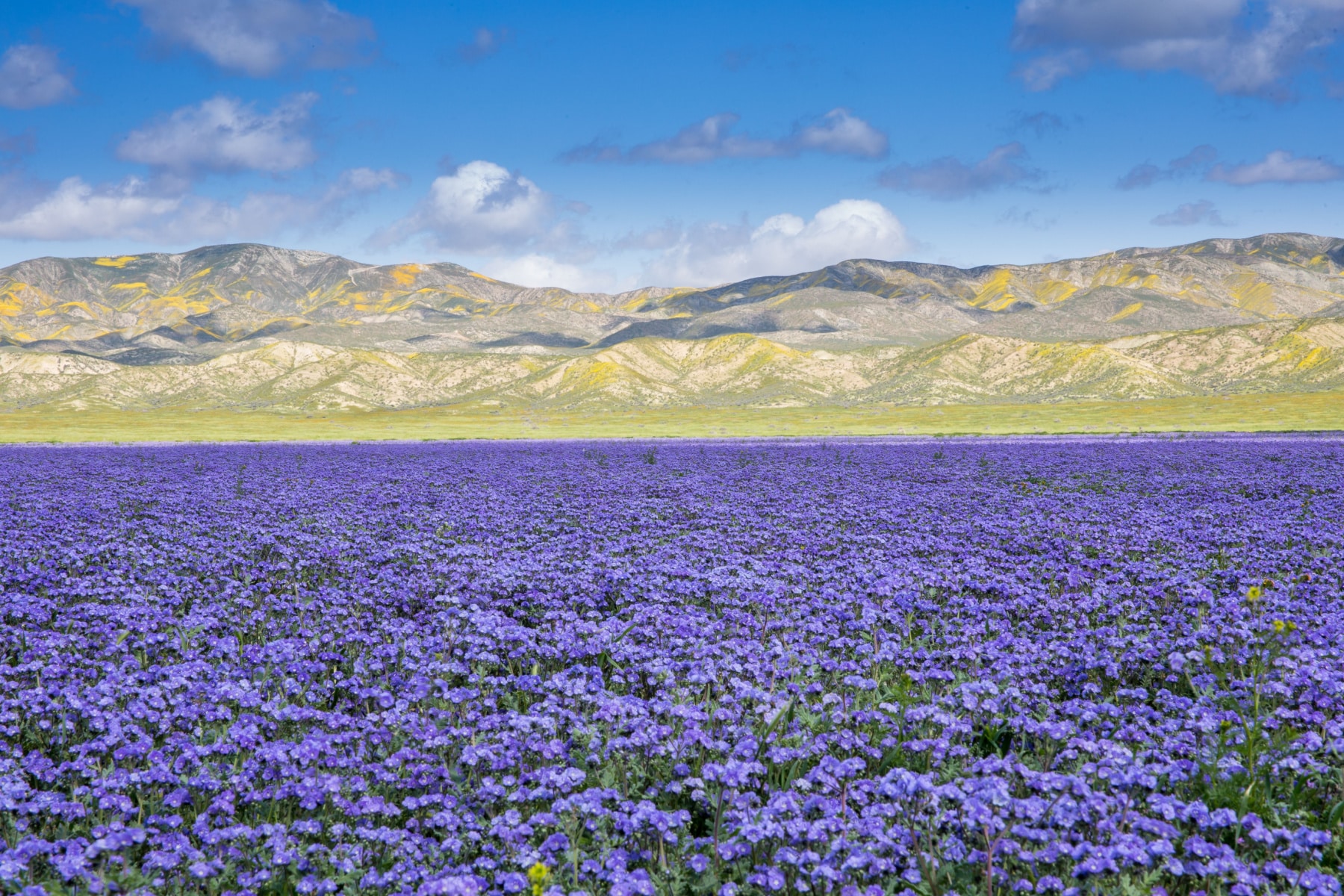 Death Valley Super Bloom makes this one of the best national parks to visit in March. 
