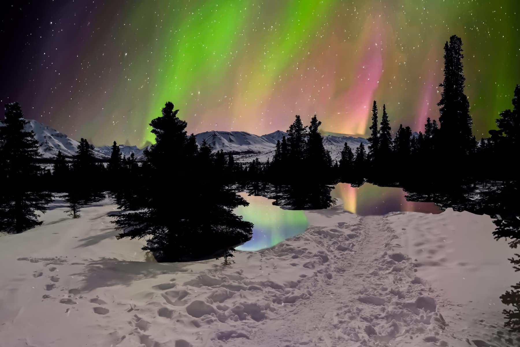 Northern Lights Aurora Borealis over Denali National Park