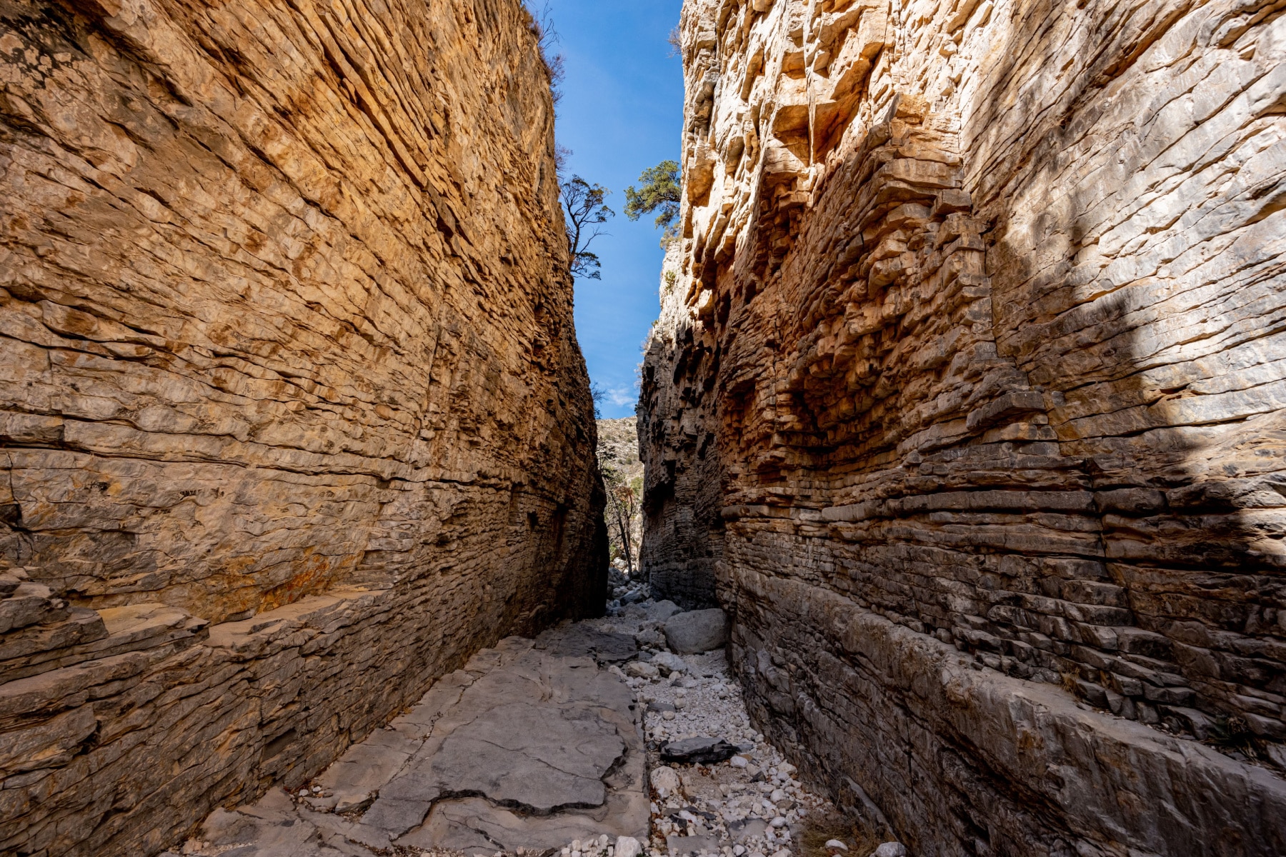 The layered and narrow walls of Devil's Hall, one of the best Guadalupe Mountains National Park hikes.