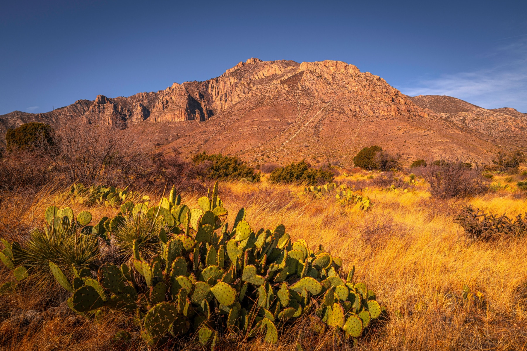 Hunter Peak looms about the desert floor on one of the best Guadalupe Mountains National Park hikes. 