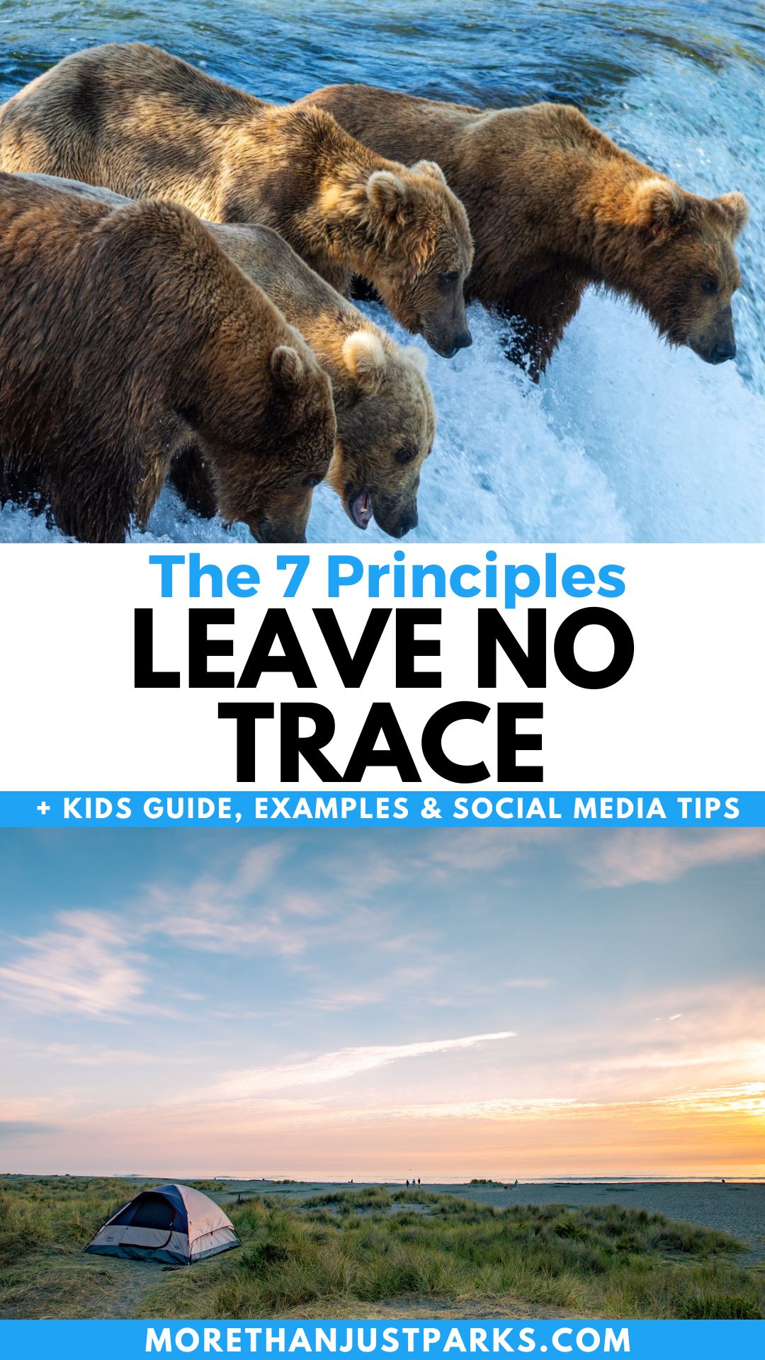 The 7 Principles Leave No Trace Graphic (Kids Guide, Examples, and Social Media Tips)