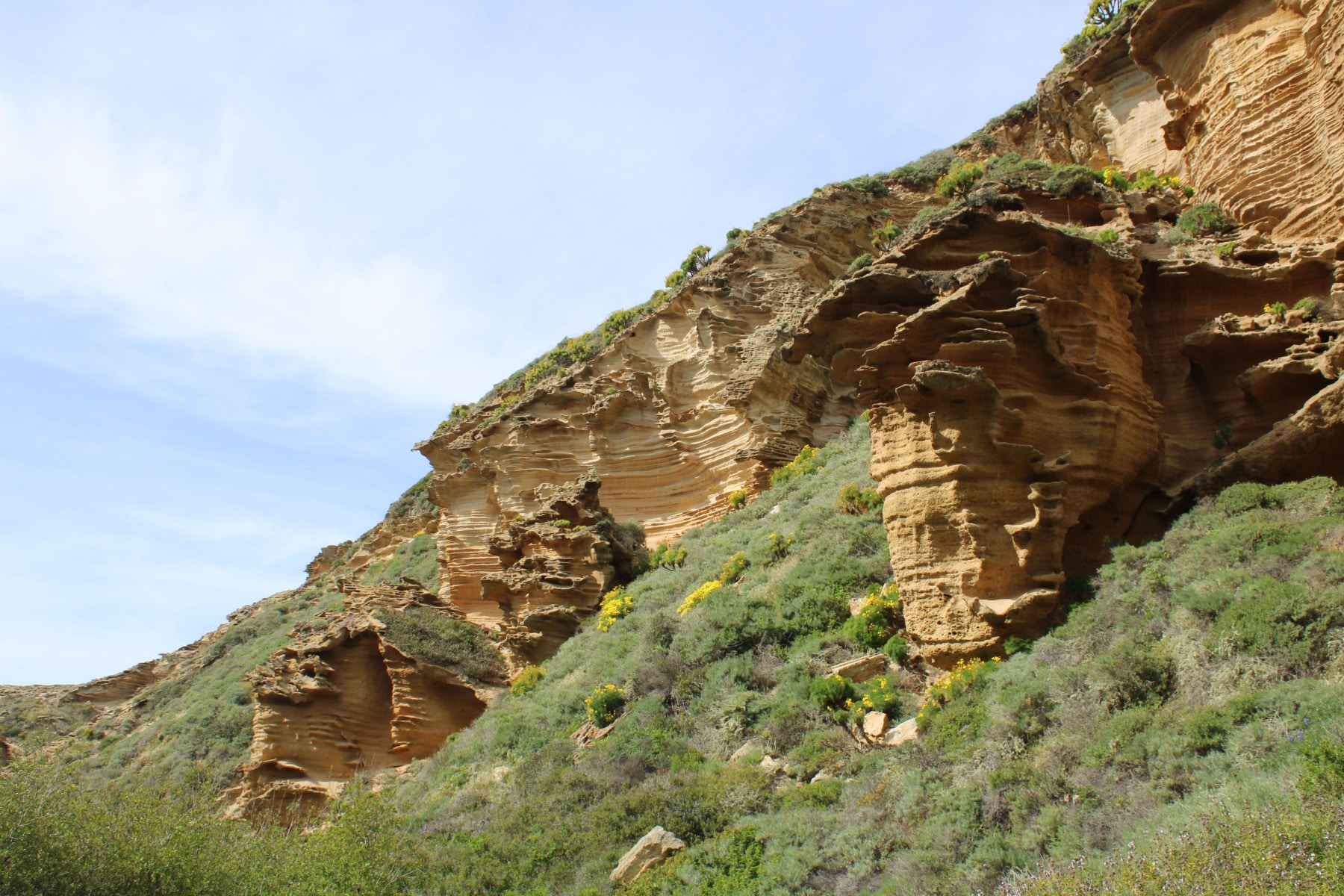 Unique rock formations mixed with greenery on the Lobo Canyon trail in Channel Islands National Park.