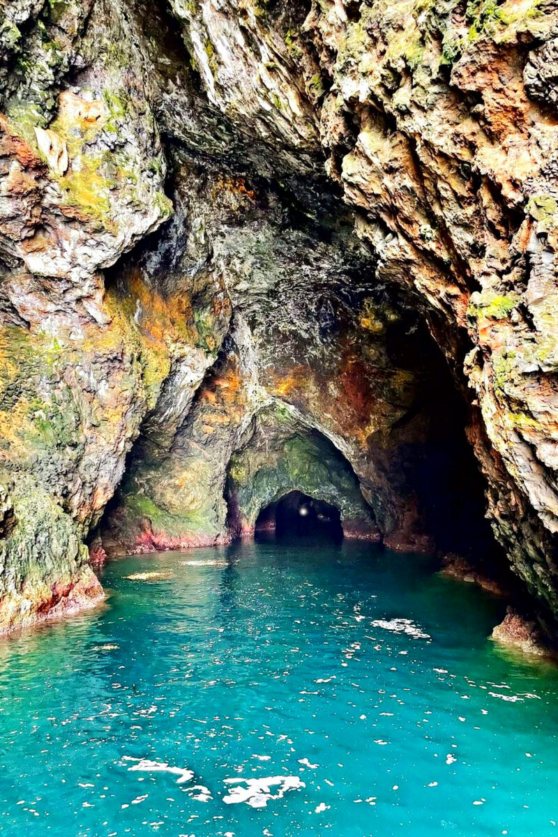 13 SURPRISING Channel Islands National Park Facts (Guide)