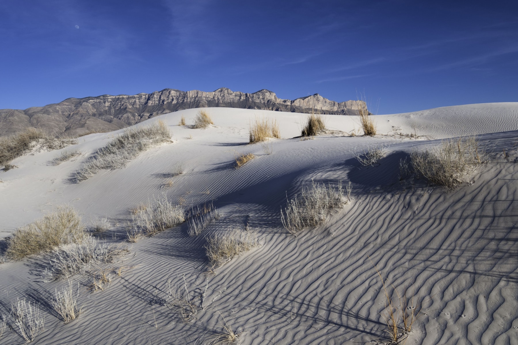 Salt Basin Dunes of Guadalupe Mountains National Park.