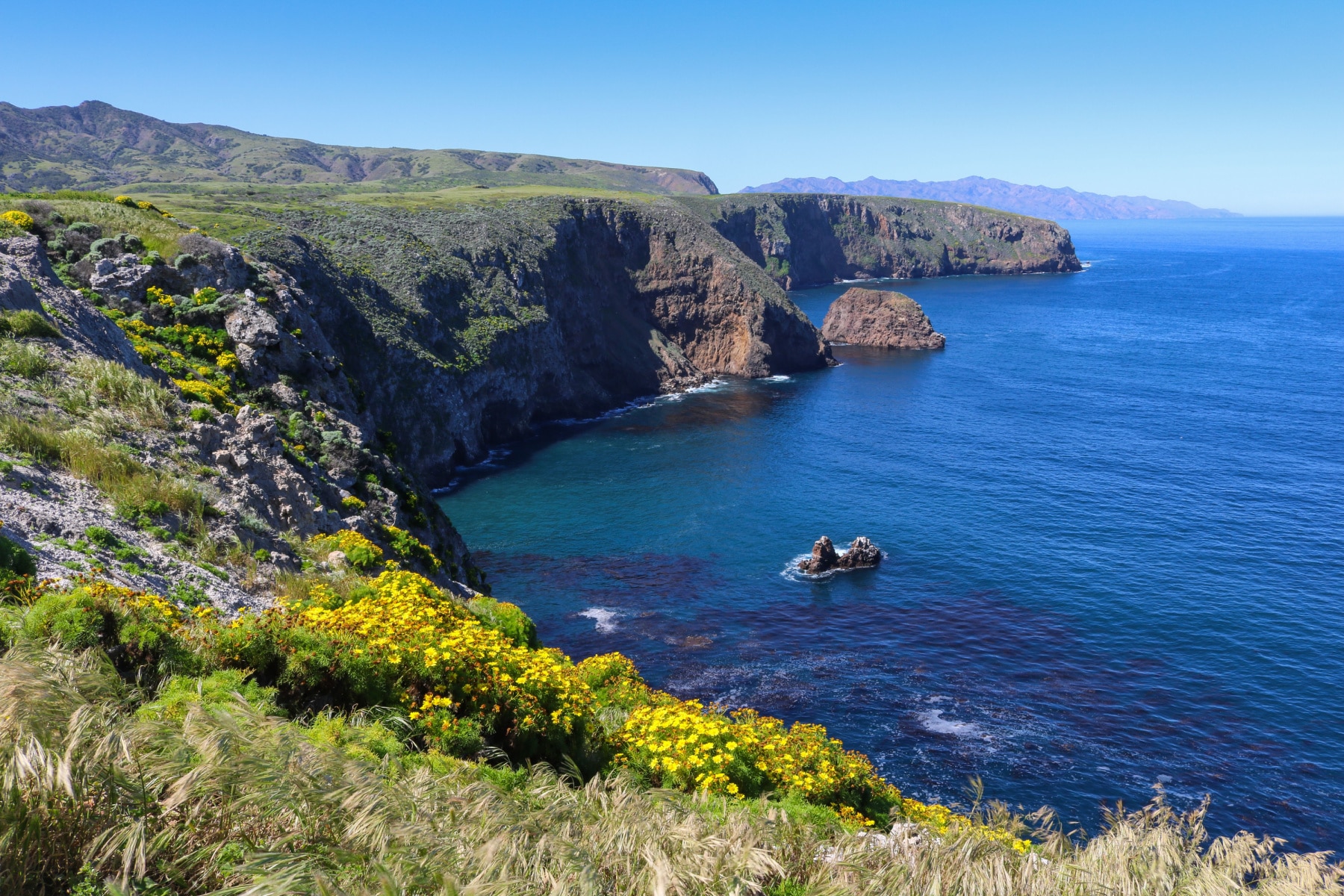 Santa Cruz Island is one of the most popular places for Channel Islands National Park things to do.