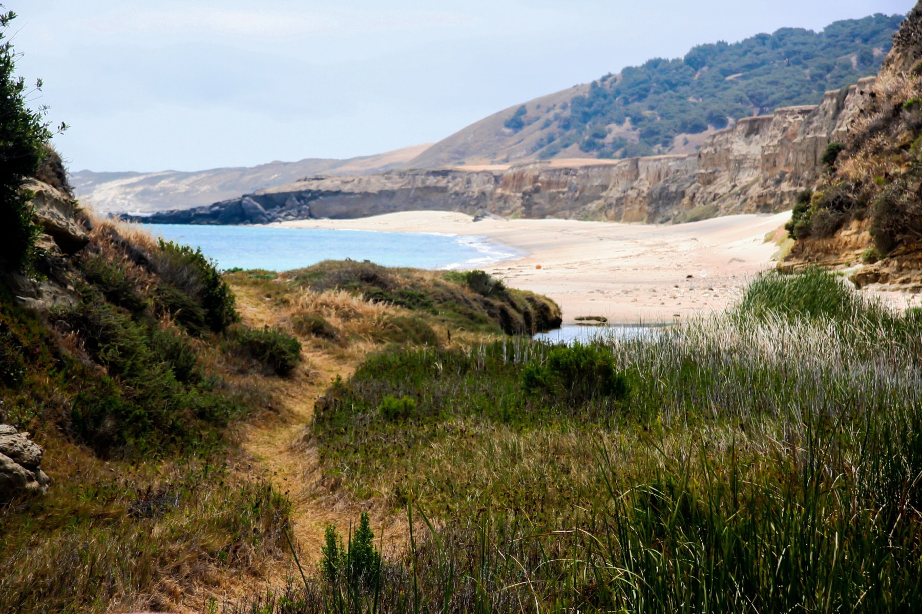 Santa Rosa Island with sandy beaches, cliffs, and grassy areas of Channel Islands National Park.