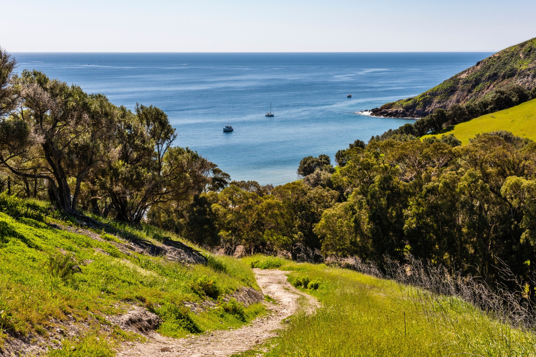 A trail winds down to Smugglers Cove on Santa Cruz Island at Channel Islands National Park.