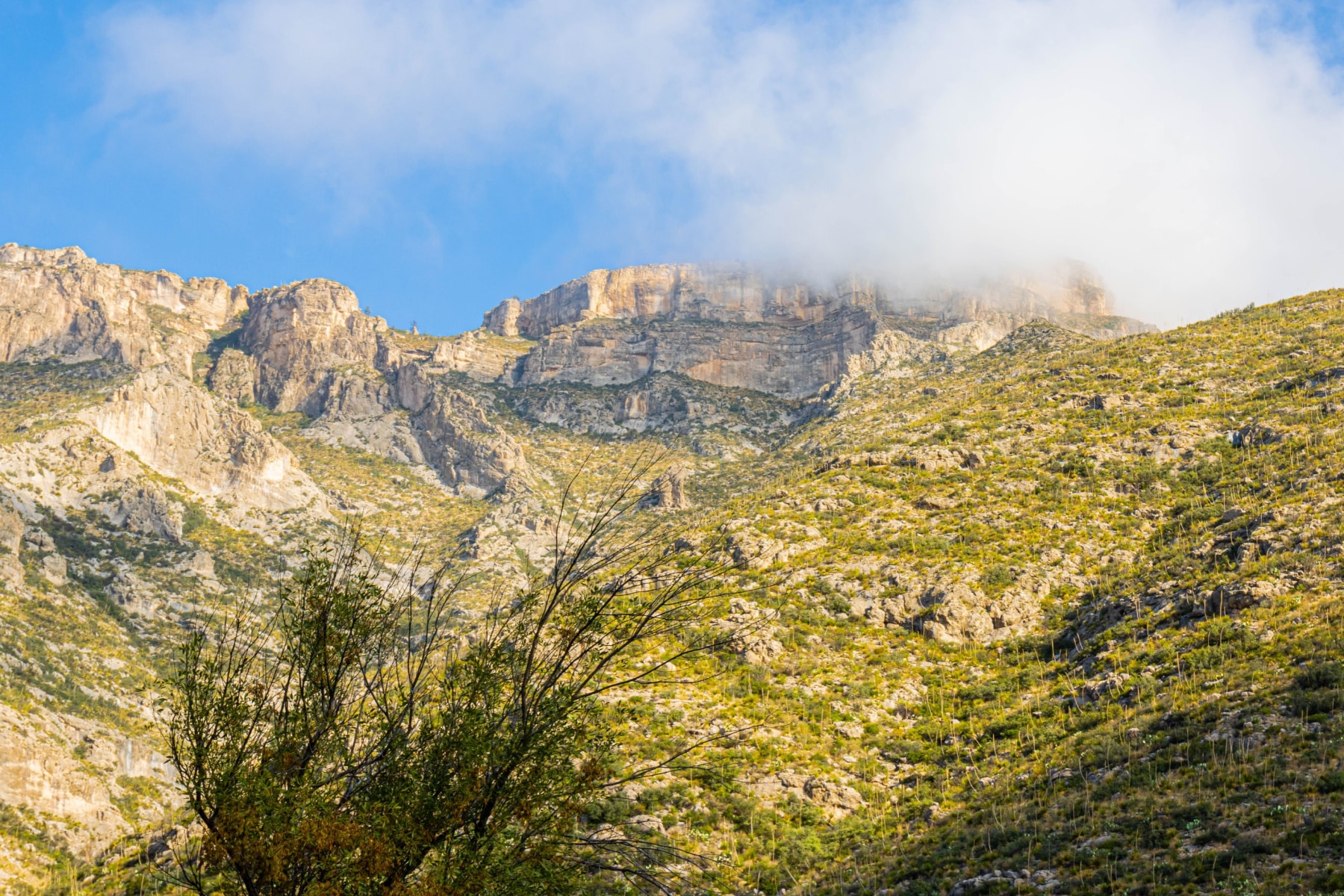 Wilderness Ridge in Guadalupe Mountains National Park