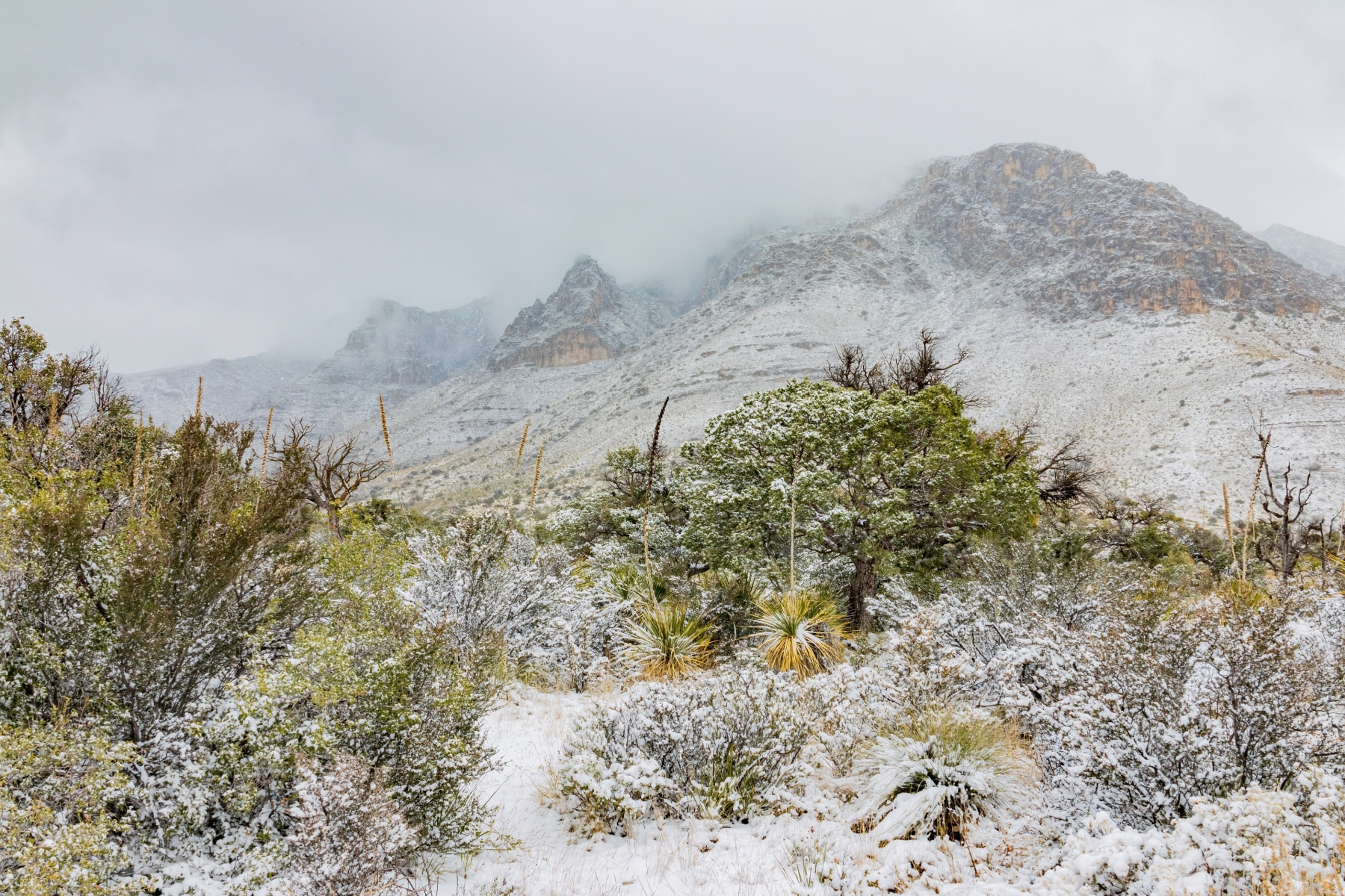 Snow over the landscape in Guadalupe Mountains National Park.
