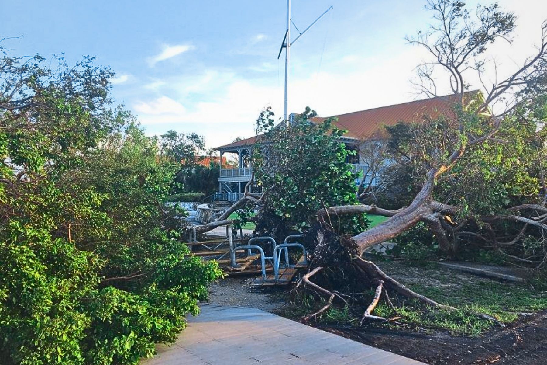 Downed trees on a pathway in Biscayne National Park after Hurricane Irma in 2017.